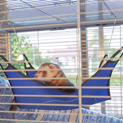 Ferplast Furet Power Beige - Vue supplémentaire 7