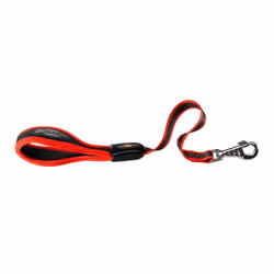 Ferplast Ergocomfort, Chien, Laisse standard, Rouge, Ruban, Monochromatique, 0,55 m