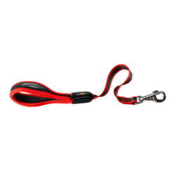 Ferplast Ergocomfort 0,55 m Rouge Chien Laisse standard