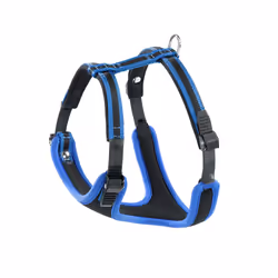 Ferplast Ergocomfort P, Chien, Harnais abdominal, S, Noir, Bleu, Monochromatique, 56 cm