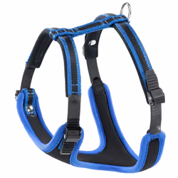 Ferplast Ergocomfort P, Chien, Harnais abdominal, M, Noir, Bleu, Monochromatique, 65 cm