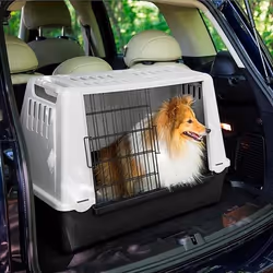 Ferplast 73079021W1 Cage de transport pour animaux de compagnie Caisse de transport voiture