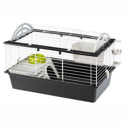 Ferplast Casita 80 Cochon d'inde Noir, Blanc