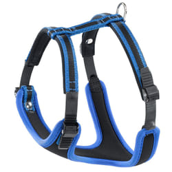 Ferplast Ergocomfort P XL Noir, Bleu Chien Harnais abdominal