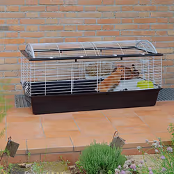 Ferplast Casita 120 Rabit Taupe, Blanc