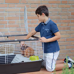 Ferplast Casita 120 Rabit Taupe, Blanc - Vue supplémentaire 4