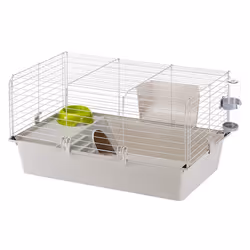 Ferplast Cavie 80, Cage, Cochon d'inde, Blanc, Plastique, Métal, 1 portes(s), 480 mm