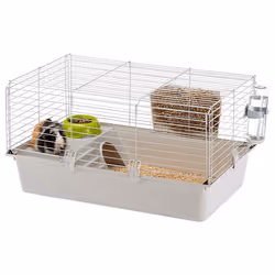 Ferplast Cavie 80 Cochon d'inde Blanc