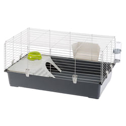 Ferplast Rabbit 100 Cochon d'inde, Rabit Gris, Blanc