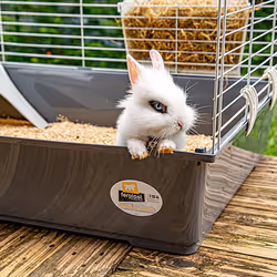 Ferplast Rabbit 100 Cochon d'inde, Rabit Gris, Blanc