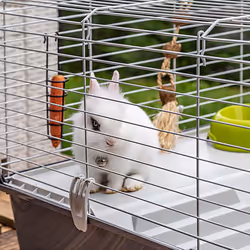 Ferplast Rabbit 100 Cochon d'inde, Rabit Gris, Blanc - Vue supplémentaire 6