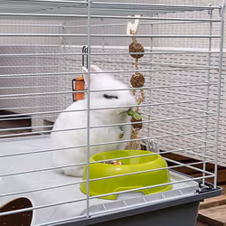 Ferplast Rabbit 100 Cochon d'inde, Rabit Gris, Blanc - Vue supplémentaire 7