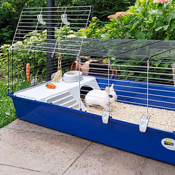Ferplast Rabbit 120 Lapin Bleu