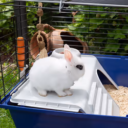 Ferplast Rabbit 120 Lapin Bleu - Vue supplémentaire 4