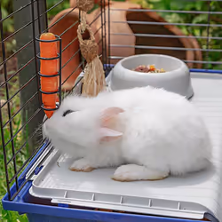 Ferplast Rabbit 120 Lapin Bleu - Vue supplémentaire 6