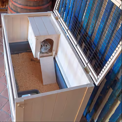 Ferplast Cottage Rabit Pin