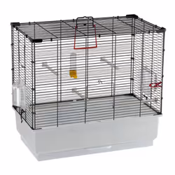 La cage Piano 4 pour oiseaux, canaris et petits oiseaux exotiques de Ferplast présente une construction solide et élégante. L ...