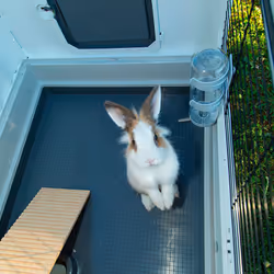 Ferplast Grand Lodge 140 Plus Rabit Gris, Blanc