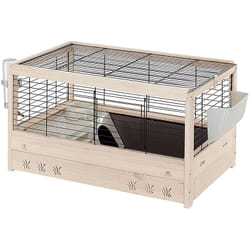 Ferplast - arena 80 Cage en bois de pin nordique fsc pour cochons d&39Inde. Variante arena 80 - Misure: 82 x 52 x h 45.5 cm -