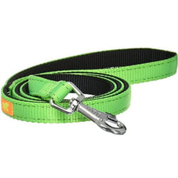Laisse Chien Ferplast Dual G15 Verte - Nylon Robuste