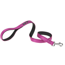 Dual g colours Laisse en nylon pour chiens, 3 tailles et 4 couleurs . Variante G20/110 - Misure: 20 mm x l 110 cm - Violette - Ferplast