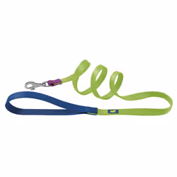 Ferplast Club G, Chien, Laisse standard, Bleu, Vert, Ruban, Acid Green, Monochromatique
