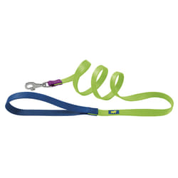 Ferplast Club G 1,2 m Bleu, Vert Nylon Chien Laisse standard