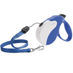 Ferplast Amigo Laisse Rétractable Bleu