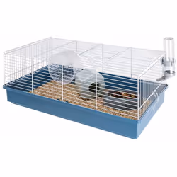 Description générale La cage Ferplast Criceti 11 est conçue pour offrir un habitat spacieux et confortable à votre hamster ou ...