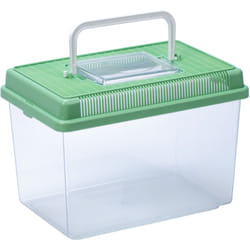 Ferplast - geo Conteneur pour petits animaux, poissons, tortues et insectes. Variante medium - Misure: 23.2 x 15.3 x h 16.6 cm - 2.5 l - Vert clair