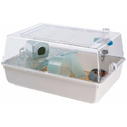 Ferplast - mini duna hamster Cage pour rongeurs mini duna hamster : adaptée aux hamsters, souris, design italien, accessoires inclus.. Variante