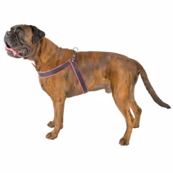 Ferplast Agila Fluo Noir, Fuchsia Nylon Chien Harnais abdominal - Vue supplémentaire 6