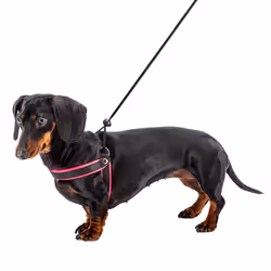 Ferplast Agila Fluo Noir, Fuchsia Nylon Chien Harnais abdominal - Vue supplémentaire 7