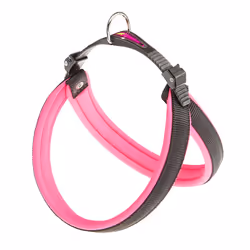 Ferplast Agila Fluo, Chien, Harnais abdominal, Noir, Fuchsia, Nylon, Monochromatique, 71 cm
