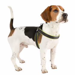 Ferplast Agila Fluo Noir, Jaune Nylon Chien Harnais abdominal