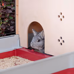 Ferplast Krolik 140 Plus Rabit Gris, Rouge - Vue supplémentaire 5
