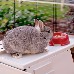 Ferplast Krolik 140 Plus Rabit Gris, Rouge - Vue supplémentaire 6