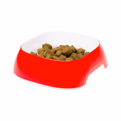 Ferplast Glam Universel Ensemble gamelles pour animaux de compagnie