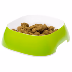 Ferplast Glam Universel Ensemble gamelles pour animaux de compagnie