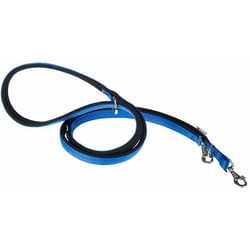 Daytona ga Laisse en nylon pour le dressage des chiens. Différentes couleurs, 2 tailles.. Variante GA15/200 - Misure: 15 mm x l 200 cm - Bleu