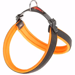 Harnais pour chiens contemporains aux couleurs fluo ! Disponibles en plusieurs tailles, les harnais Agila Fluo s'adaptent à t ...