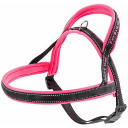 Sport dog p Harnais pour chiens avec rembourrage soft. Différentes mesures et couleurs fluo.. Variante medium - Misure: a: 58 cm b: 69-86 cm