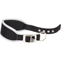 Ferplast ERGOCOMFORT CW Collier rembourré pour lévriers. Tailles variées. . Variante CW20/39 - Misure: A: 33-39 cm B: 20 mm - Noir