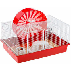 Ferplast - coney island Cage pour rongeurs coney island : adaptée aux hamsters, design italien, accessoires inclus.. Variante coney island - Misure: