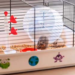 Ferplast Criceti 9 Kosmos Hamster Gris, Blanc - Vue supplémentaire 3