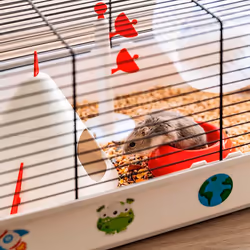 Ferplast Criceti 9 Kosmos Hamster Gris, Blanc - Vue supplémentaire 4