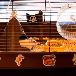 Ferplast Criceti 9 Pirates Hamster Marron, Gris