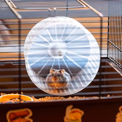 Ferplast Criceti 9 Pirates Hamster Marron, Gris - Vue supplémentaire 4