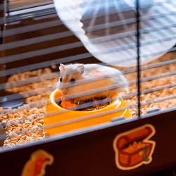 Ferplast Criceti 9 Pirates Hamster Marron, Gris - Vue supplémentaire 5