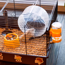 Ferplast Criceti 9 Pirates Hamster Marron, Gris - Vue supplémentaire 6